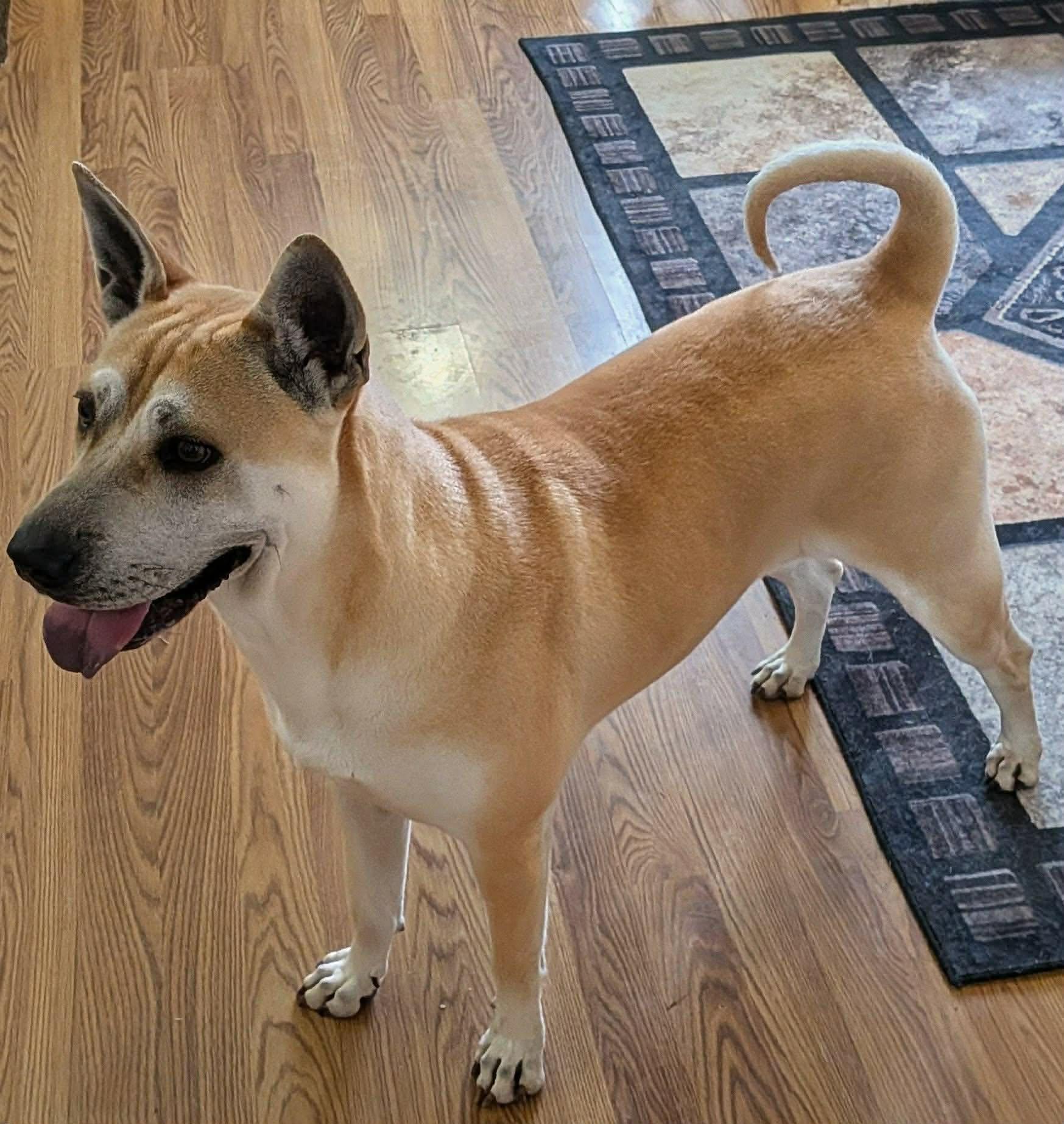 Tria (20260206-04) — thumbnail 5