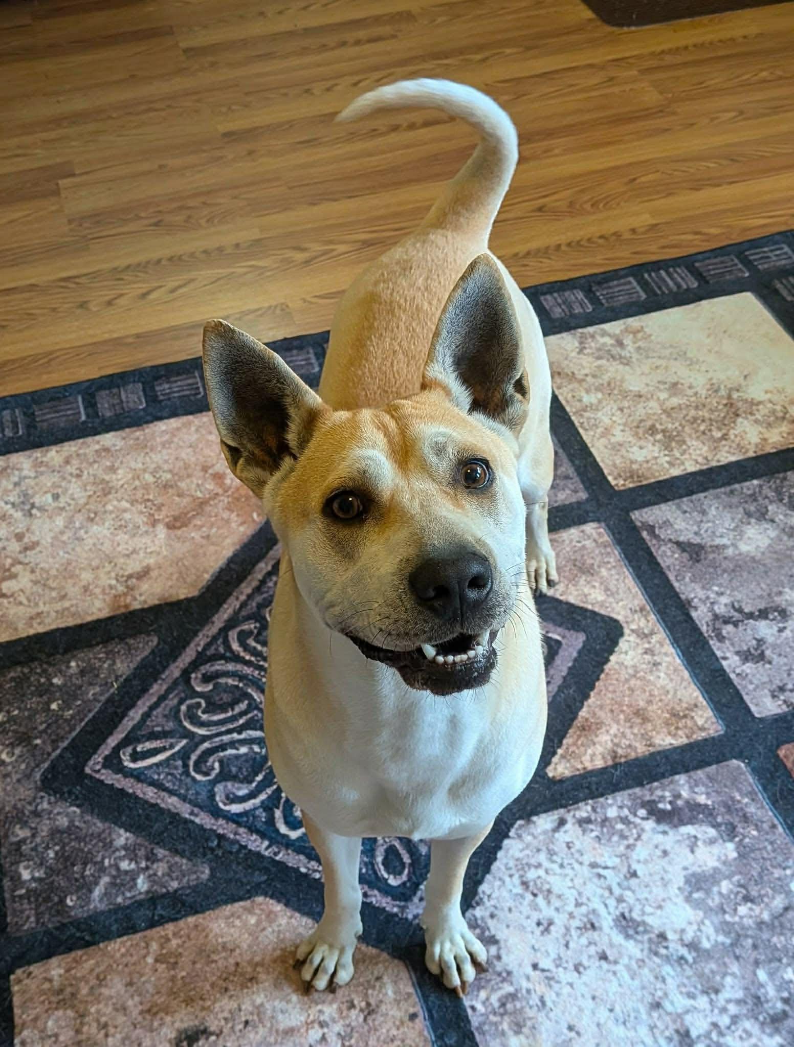 Tria (20260206-04) — thumbnail 6