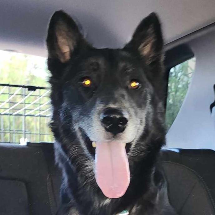 Juneau — thumbnail 2