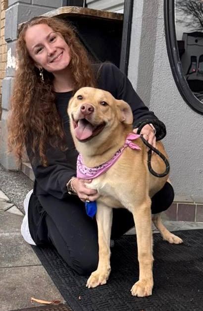 Lexie, a Adoptable mixed breed in Carrollton, GA image 3/3