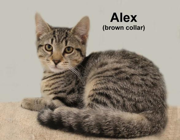 Alex Fuhr. (sweet brother of Austin) photo