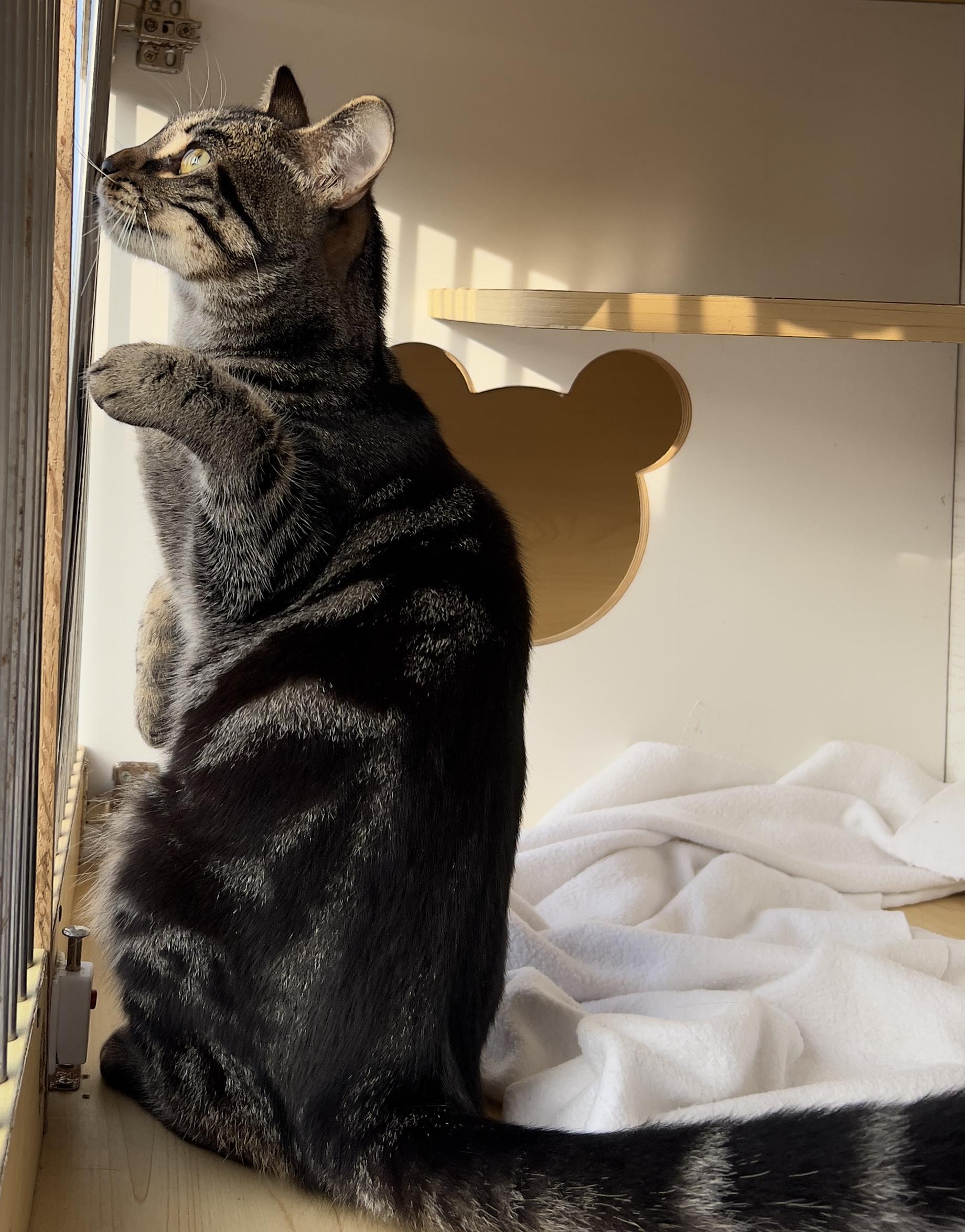 Santa Monica thumbnail 2