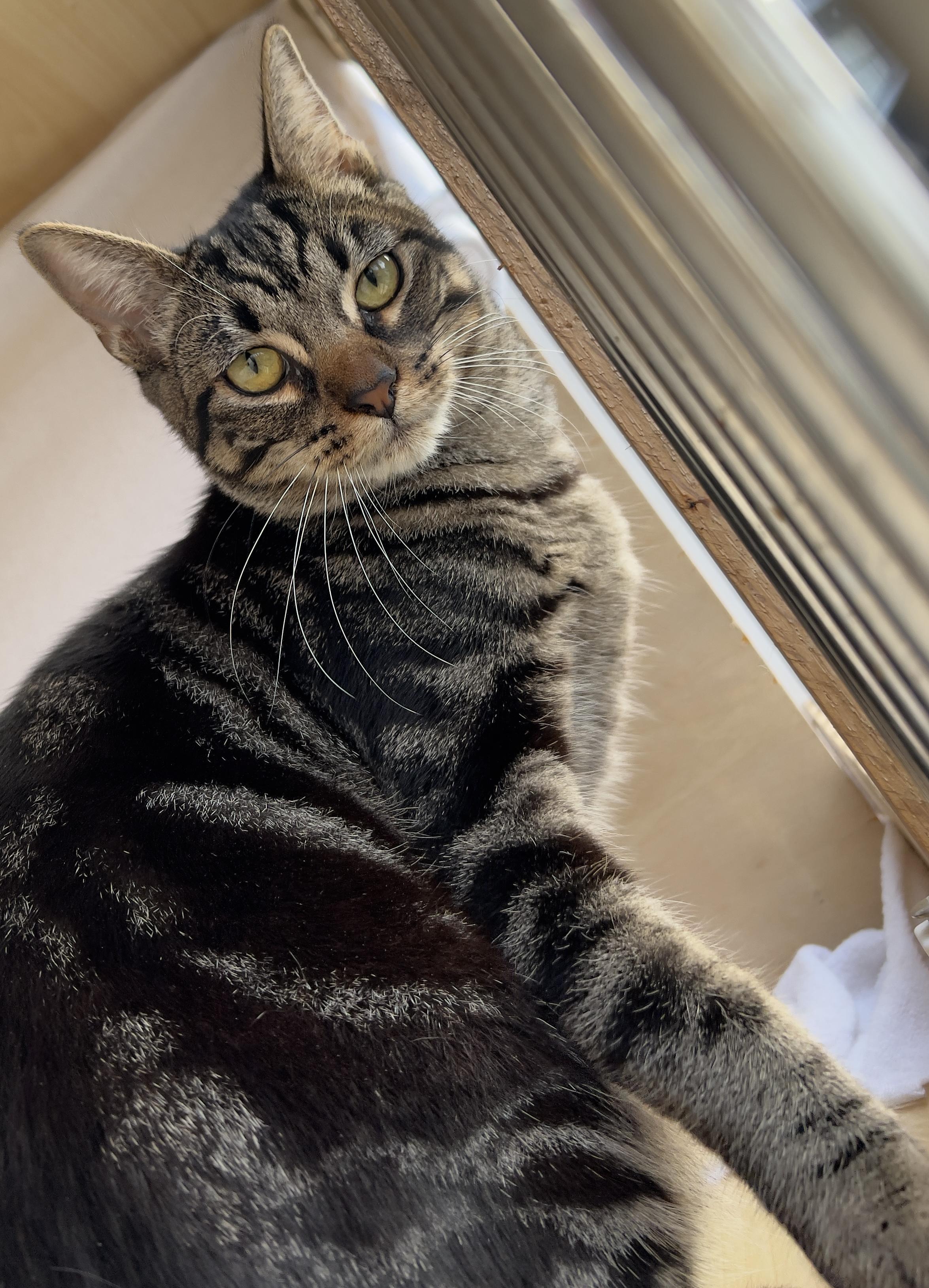 Santa Monica thumbnail 3