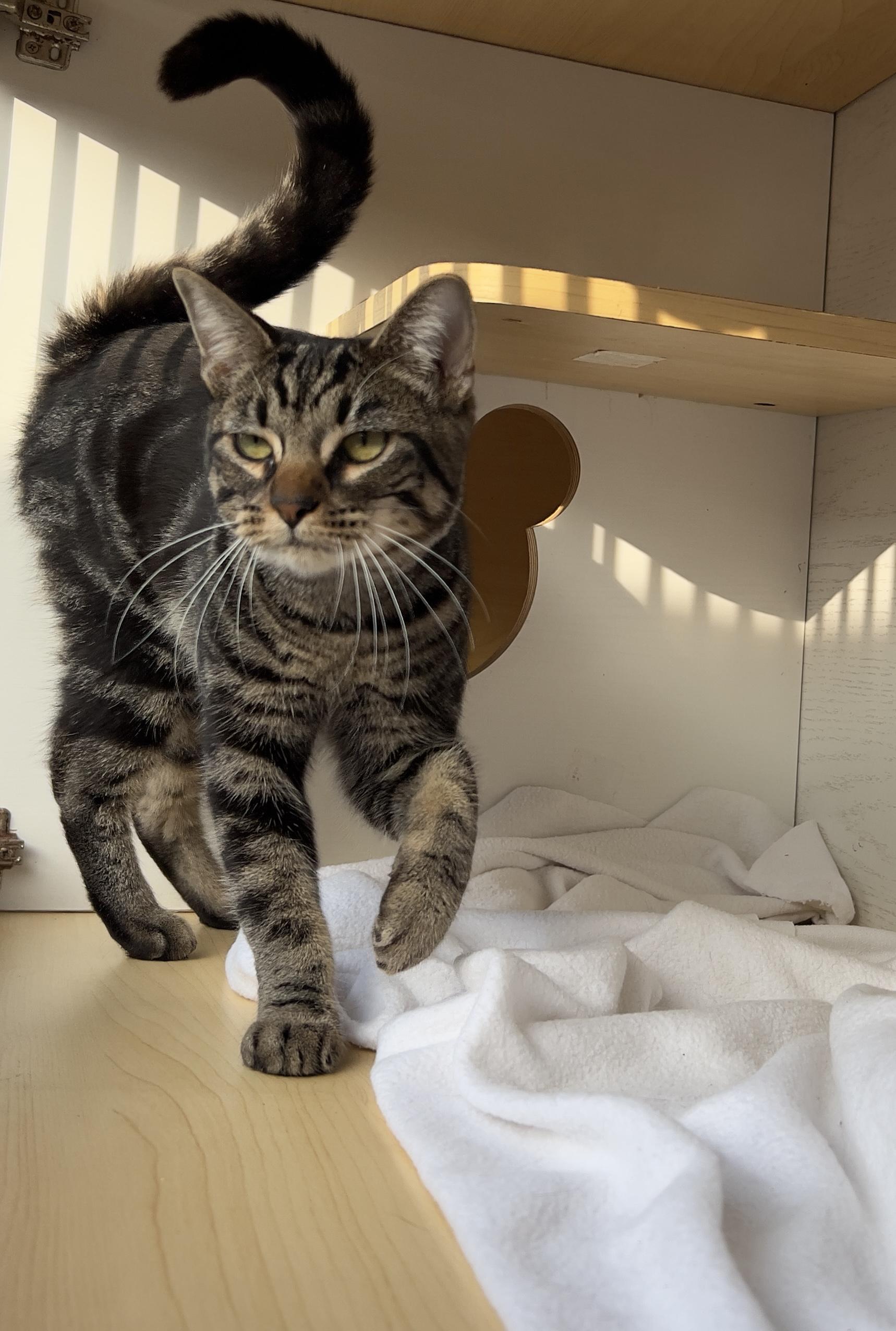 Santa Monica thumbnail 5