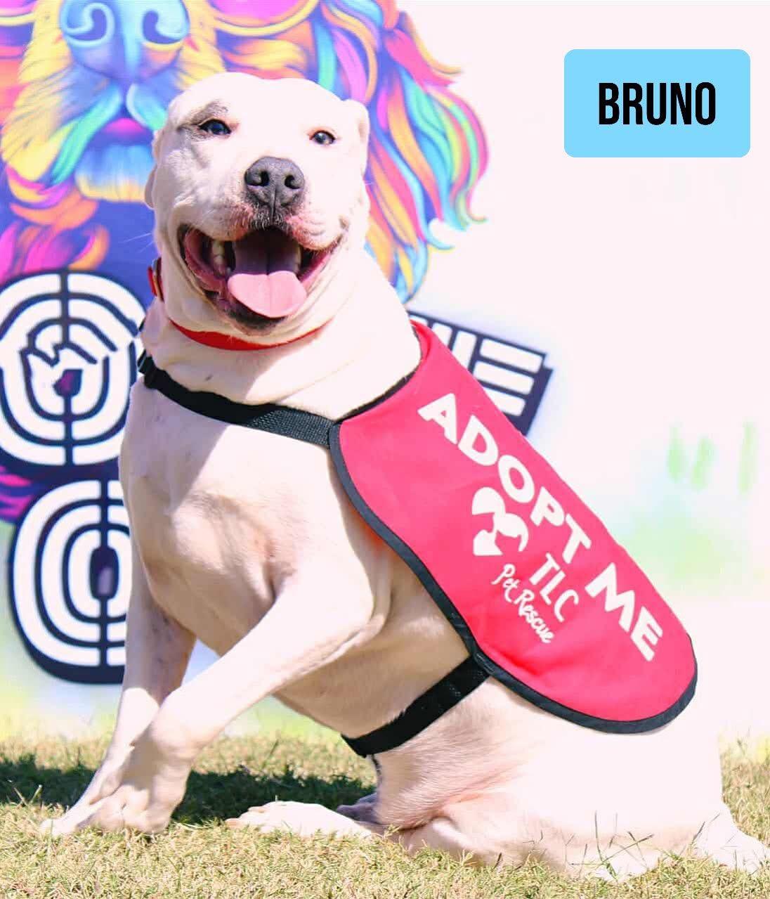 Bruno