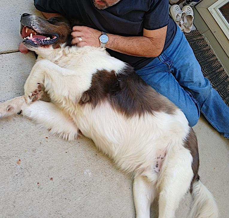 George and Piper — thumbnail 3