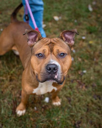 Rubeus — thumbnail 2