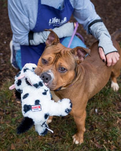 Rubeus — thumbnail 3