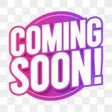 Enlarge Miklo, a Adoptable Mixed Breed in San Pablo, CA image 1/6