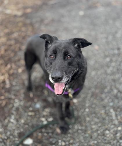 Samba — thumbnail 2