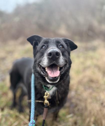 Samba — thumbnail 3