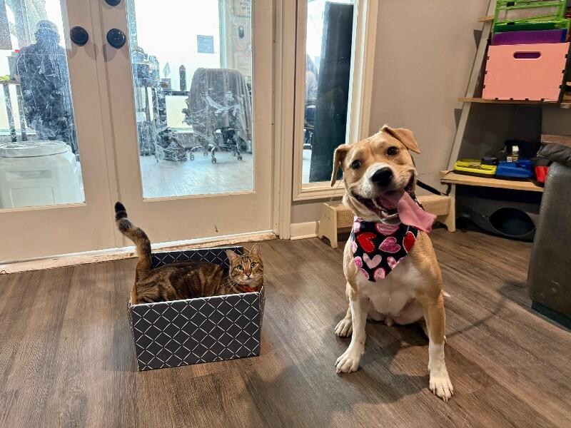 Susie Q the Fun Friend — thumbnail 4