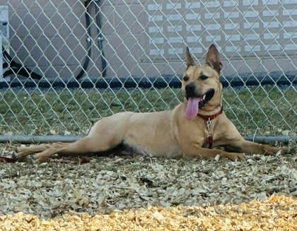 Sunshine — thumbnail 2