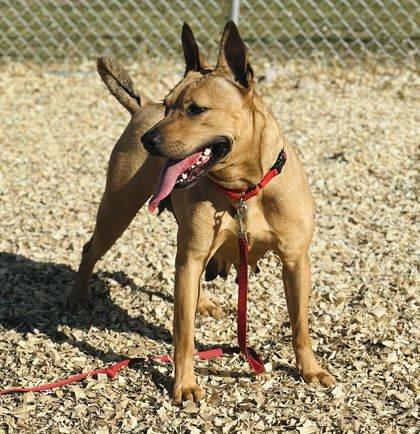 Sunshine — thumbnail 3