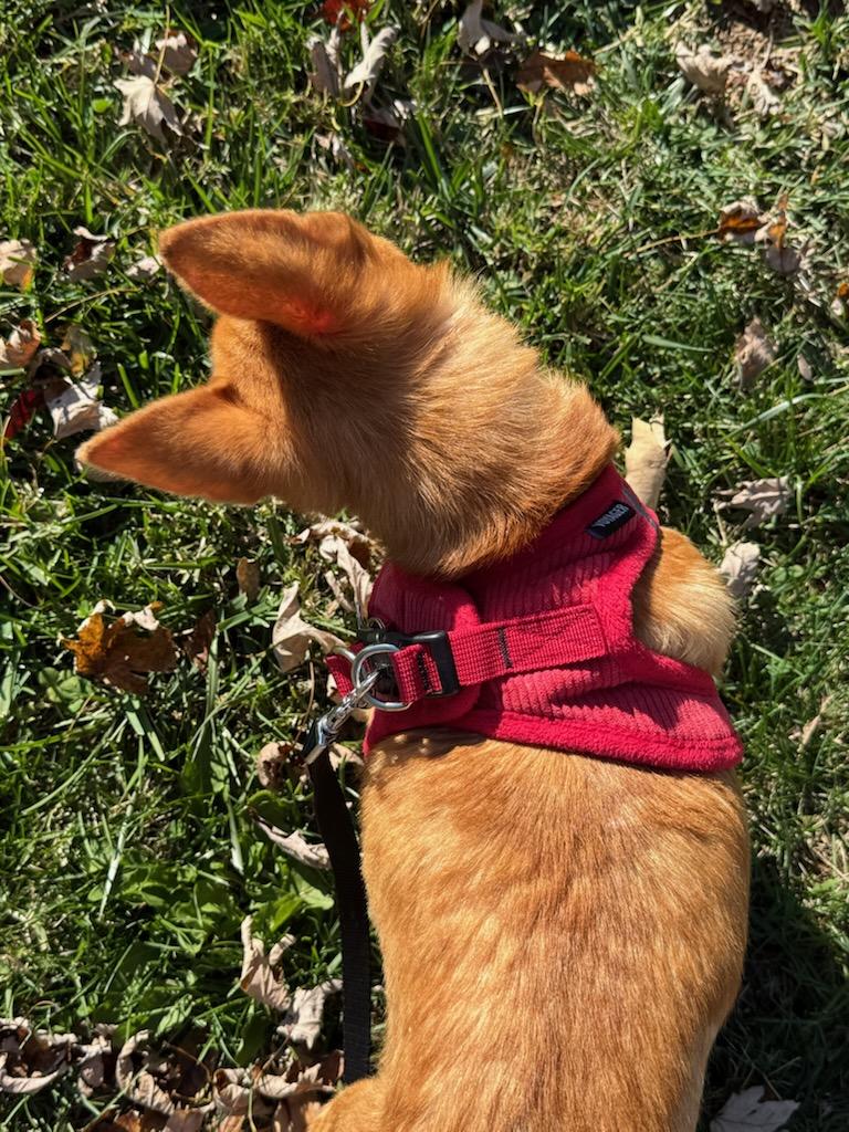 Johnnynew Update! thumbnail 2