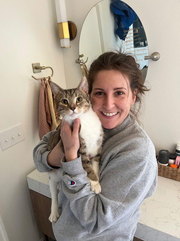 Cappuccino, Adoptable, Adult Female Tabby.