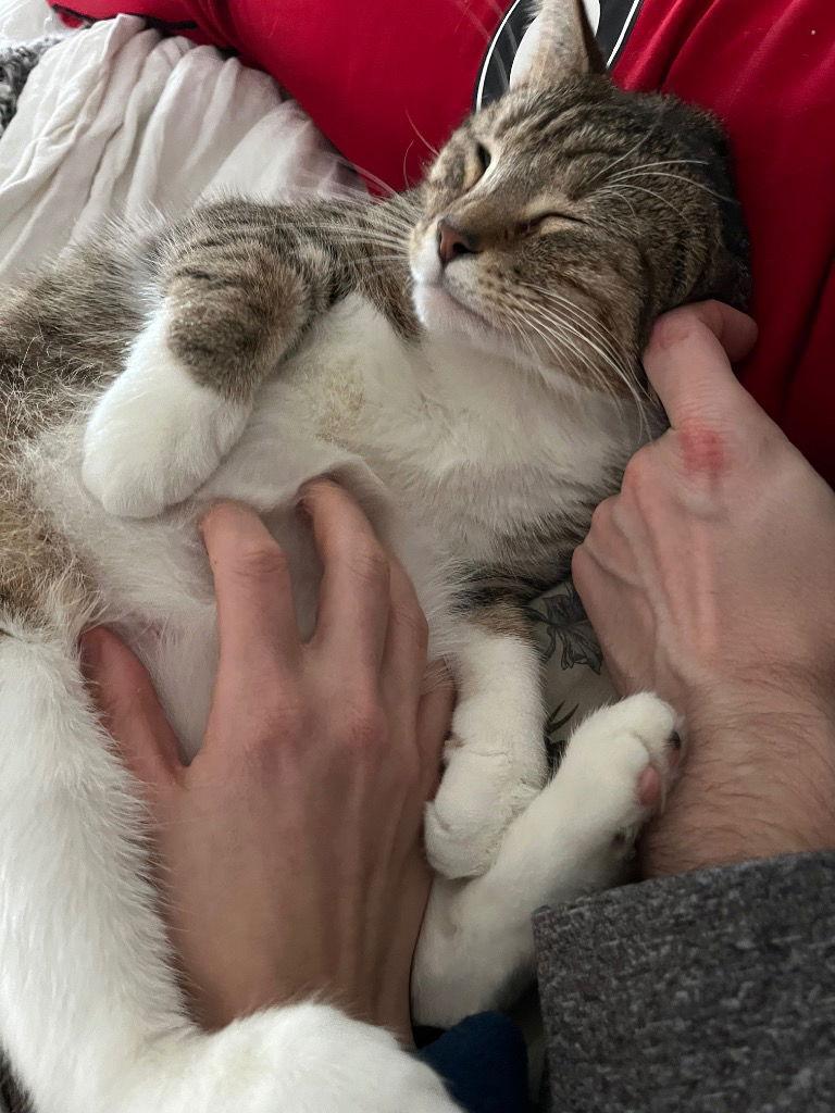 Cappuccino — thumbnail 2