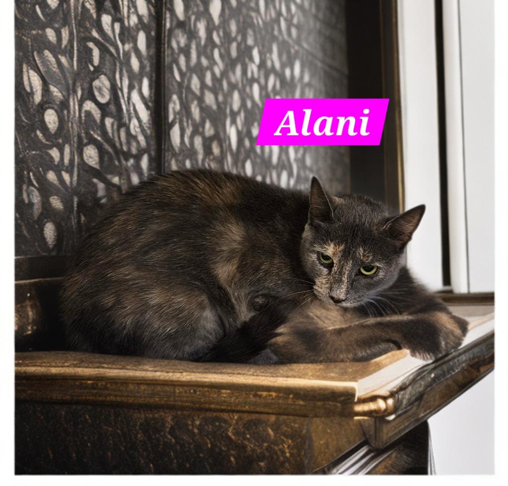 Alani photo