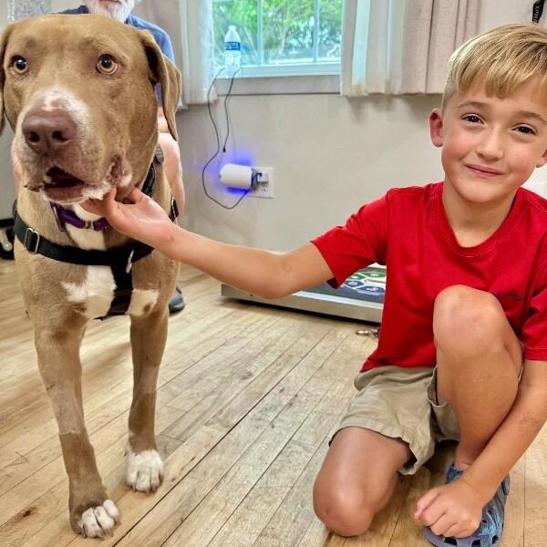 Stanley is the man — thumbnail 4