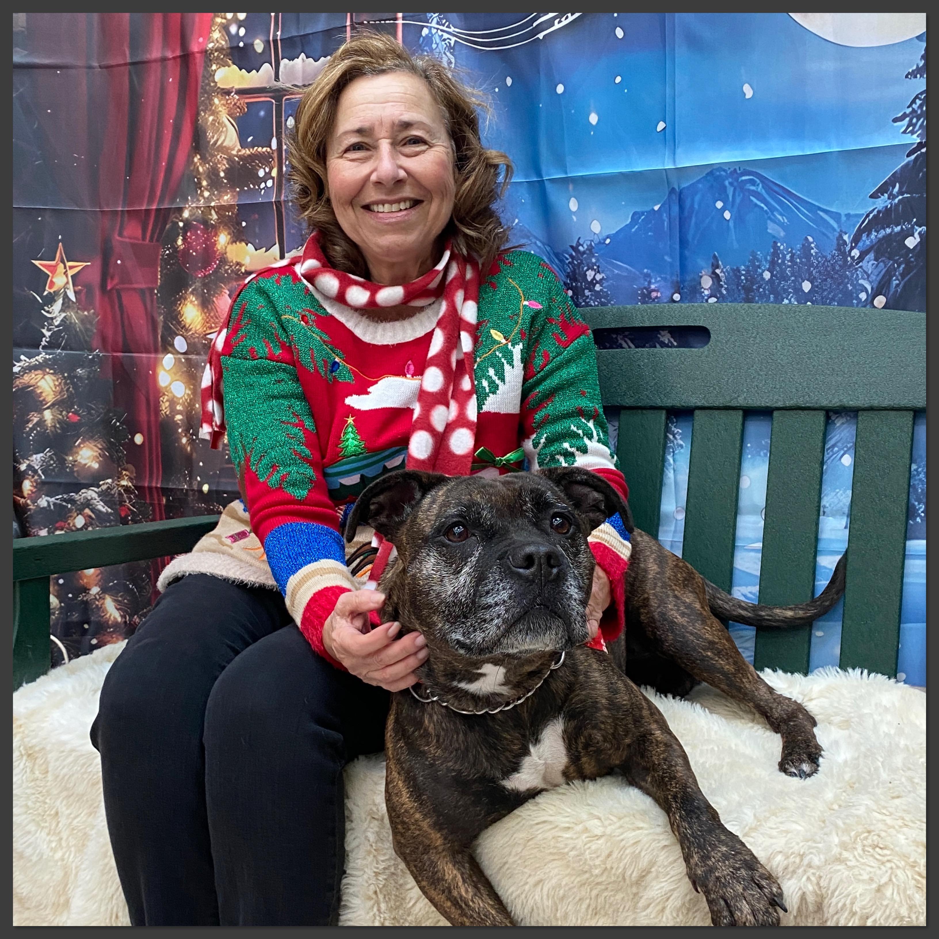 Beverly, a Adoptable mixed breed in Elyria, OH image 3/5