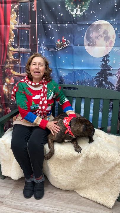 Enlarge Beverly, a Adoptable mixed breed in Elyria, OH video 5/5