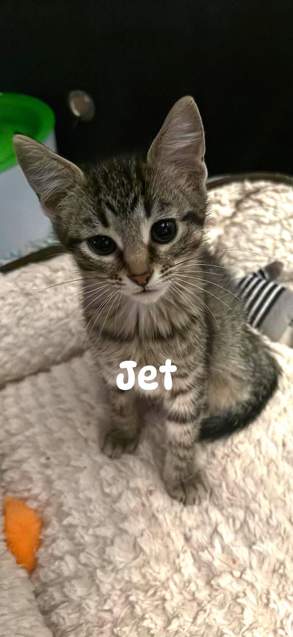 Jet T