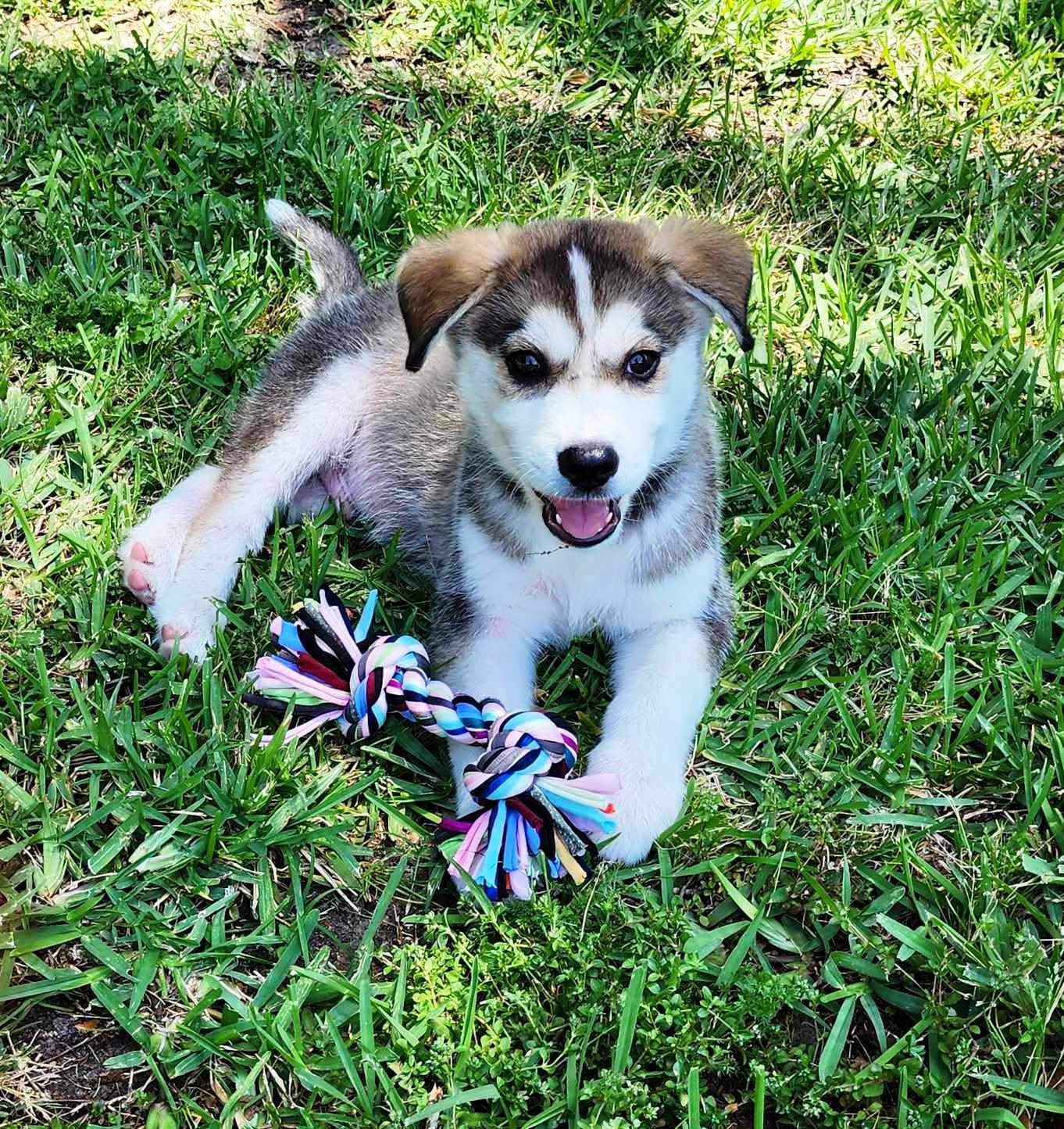 Sammie photo 2