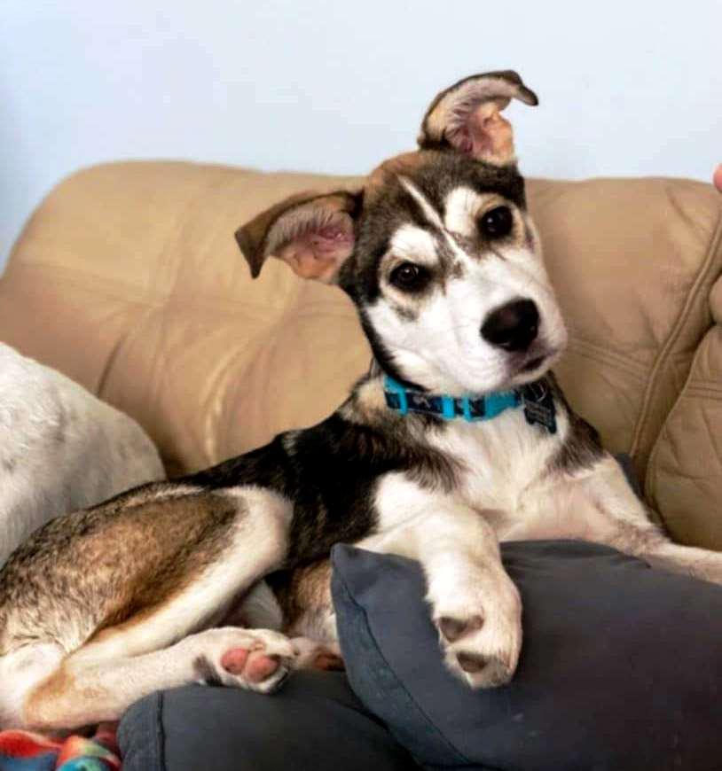 Sammie, Young Male unknown