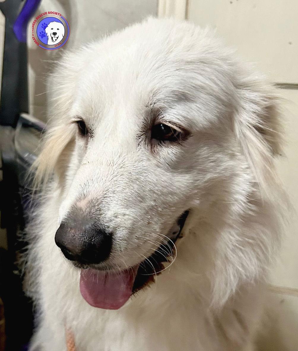 Terrie — thumbnail 5