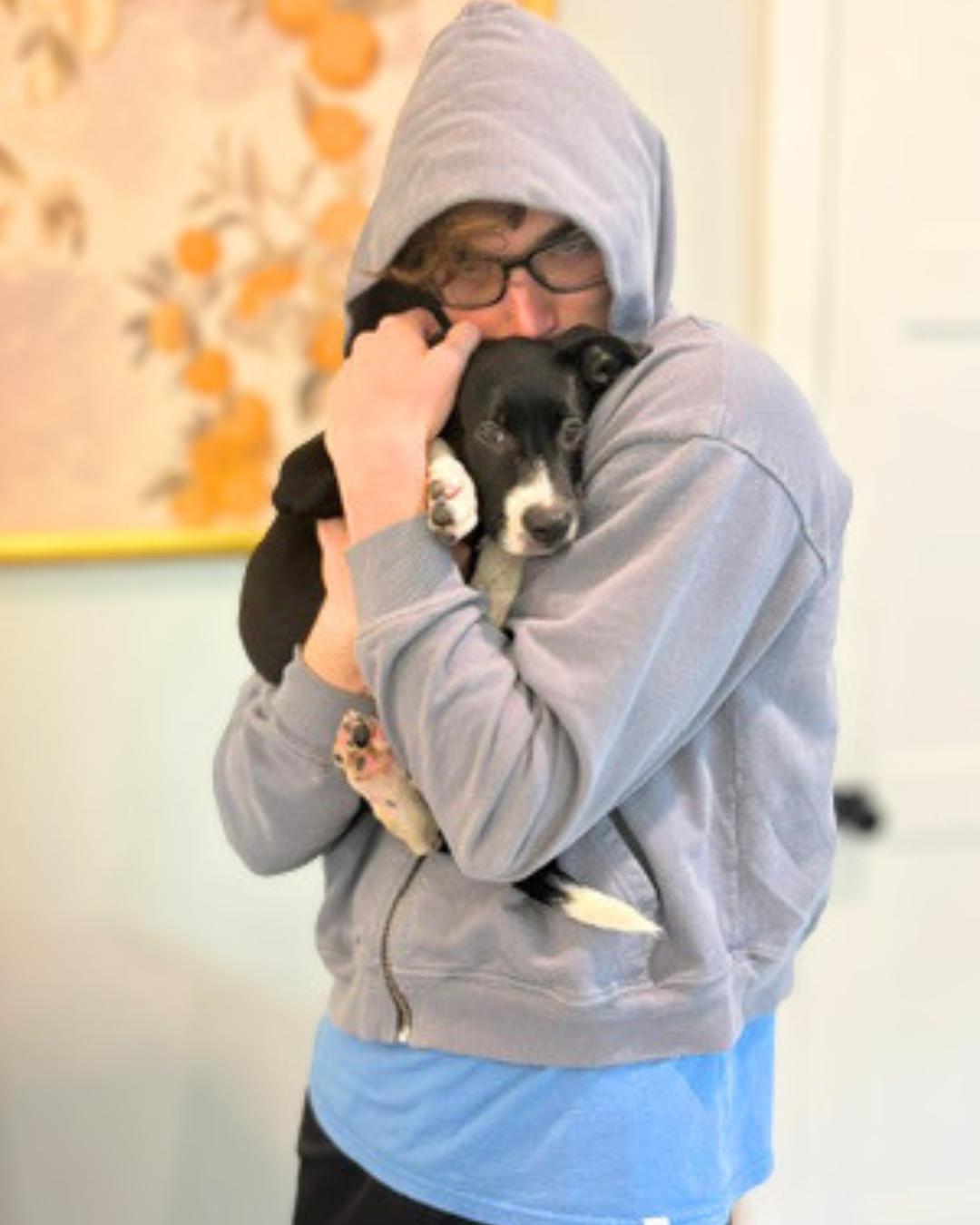 Enlarge Jade (aka Peanut), a Adoptable mixed breed in Valley Village, CA image 6/6