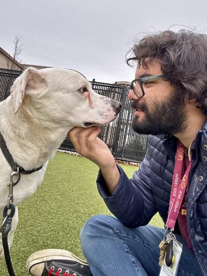 Tuffy, a Adoptable mixed breed in Wichita, KS image 3/3