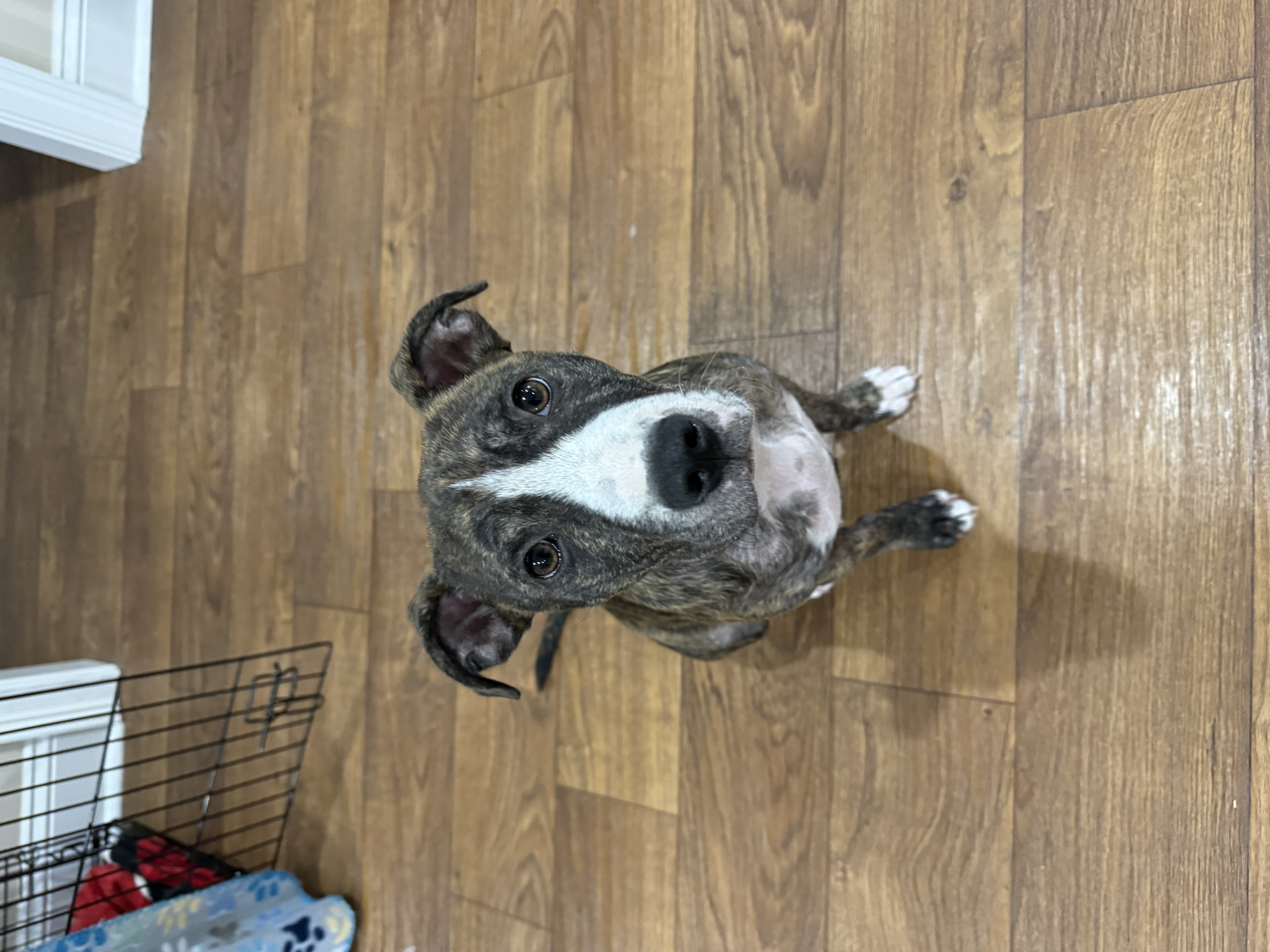Clara Jane aka CJ