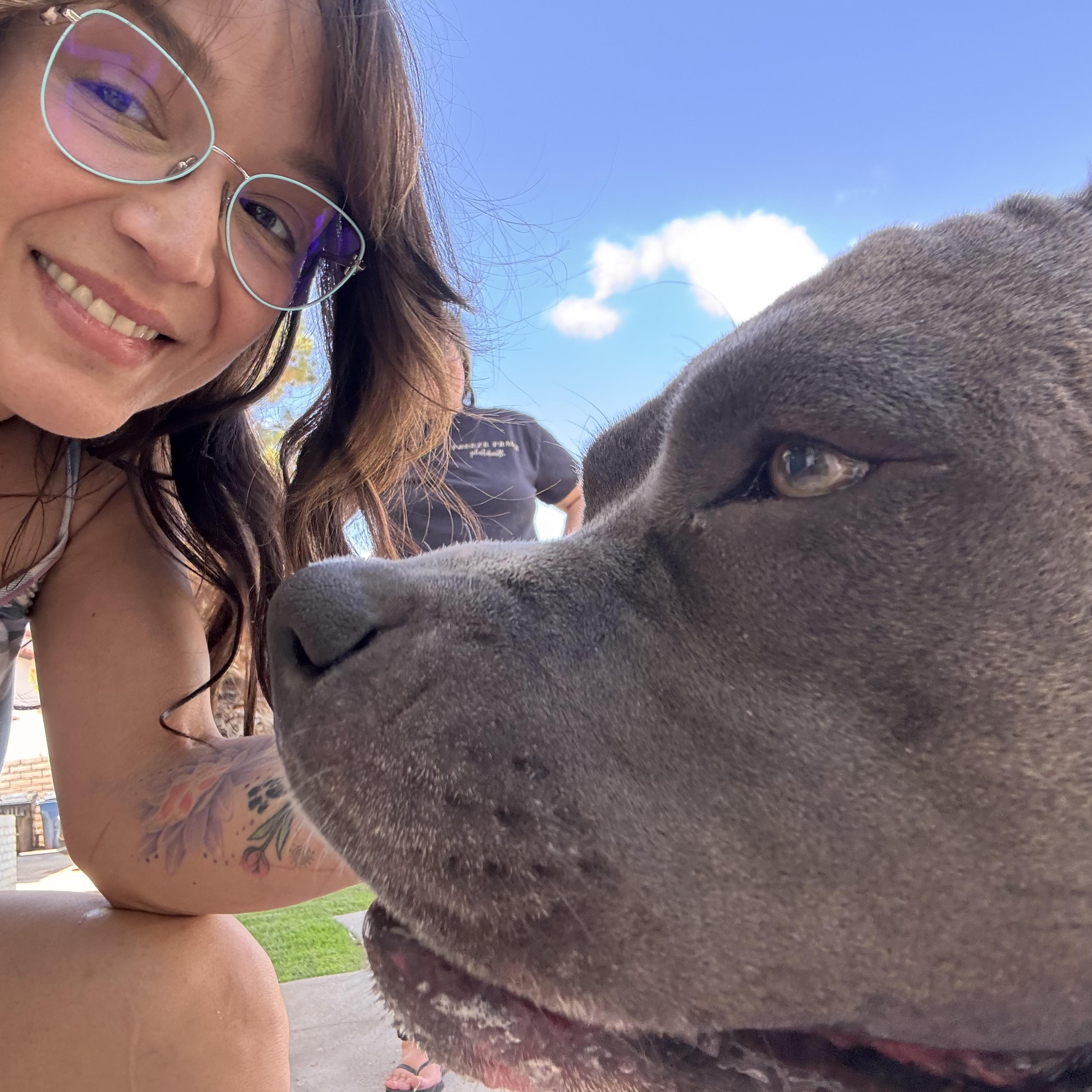 Boujee, a hold mixed breed in Las Vegas, NV image 2/6