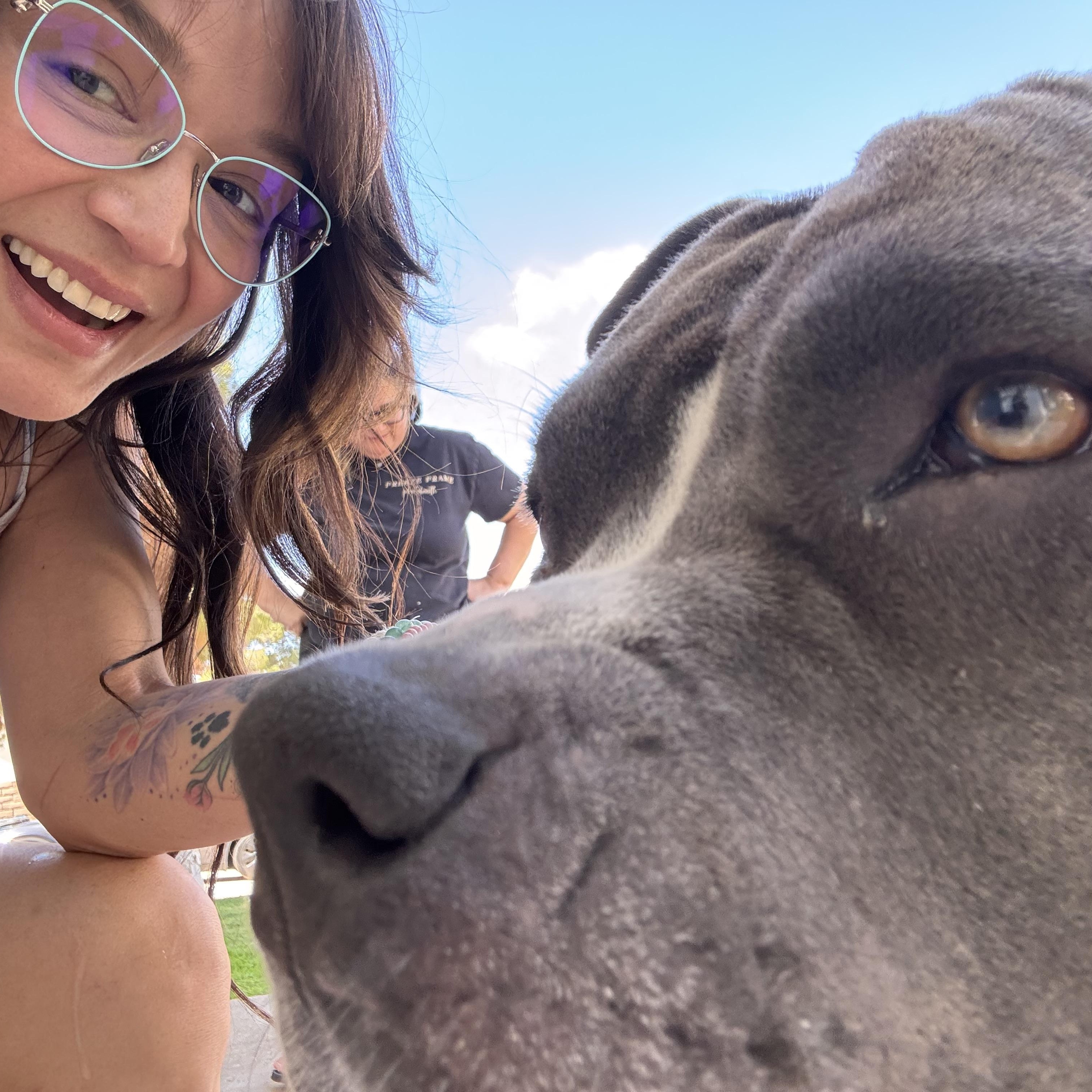 Boujee, a hold mixed breed in Las Vegas, NV image 5/6