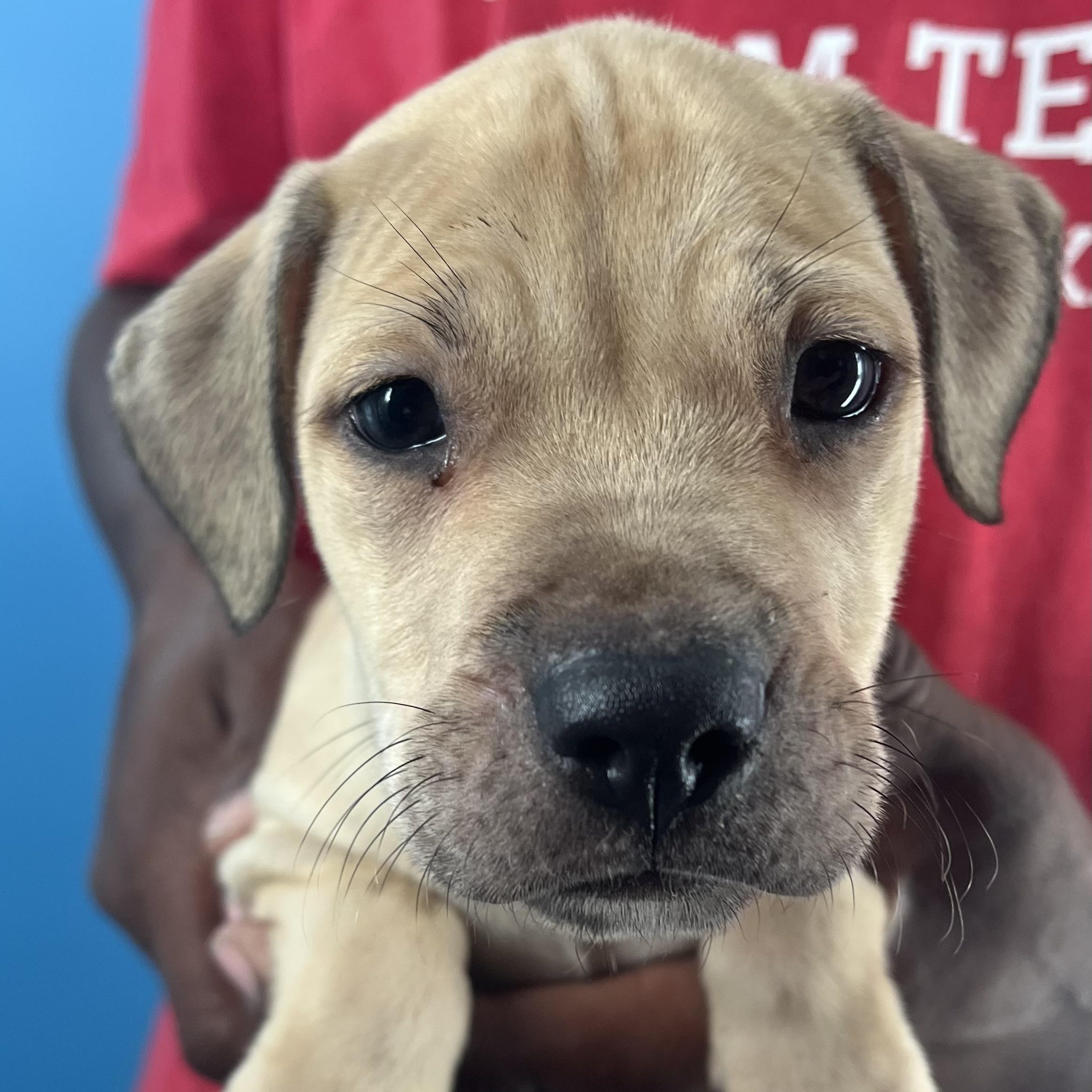 Kane  Local Oct thumbnail 5