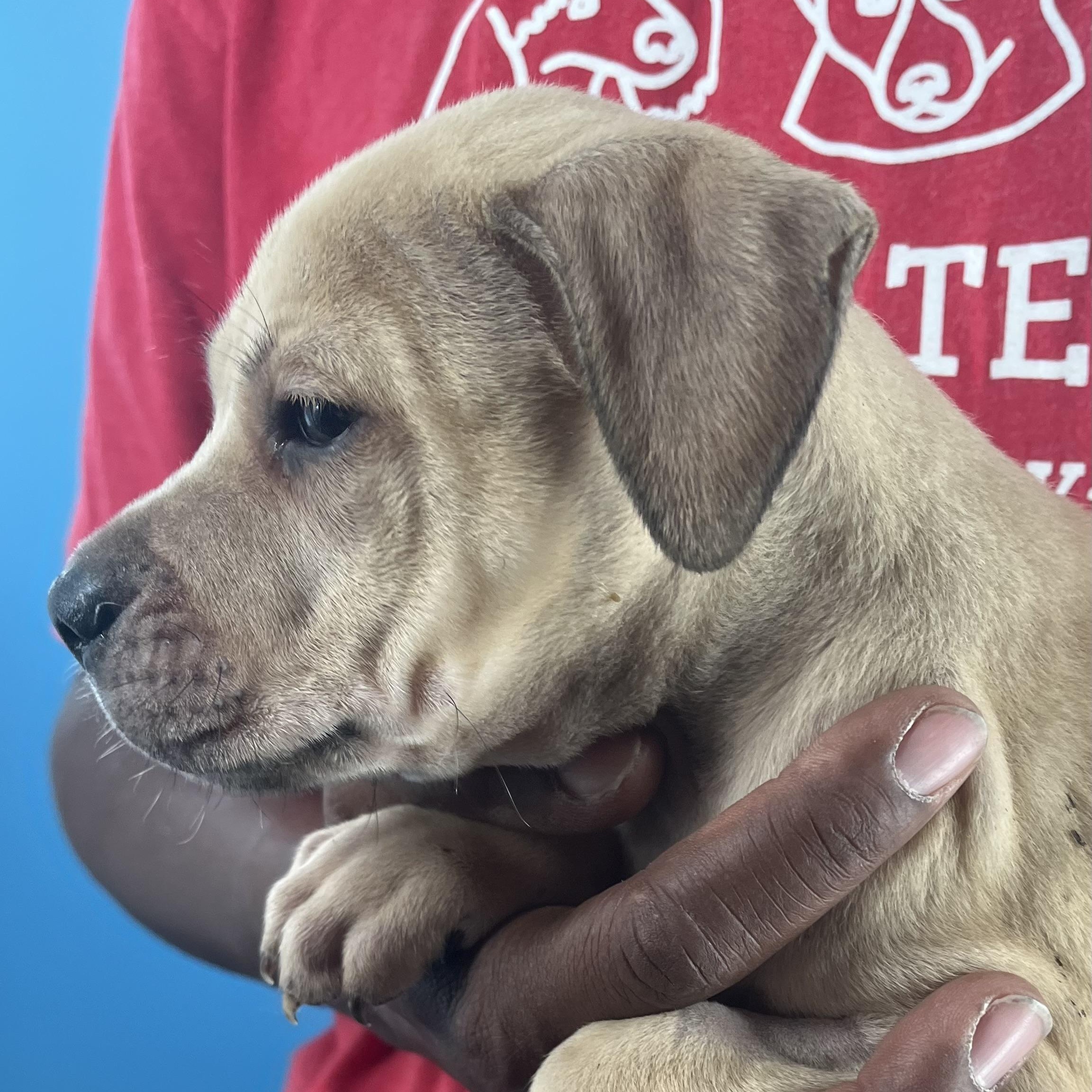 Kane  Local Oct thumbnail 2