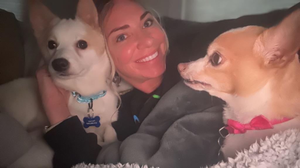 Enlarge Oak, a Adopted mixed breed in Valparaiso, IN image 1/1