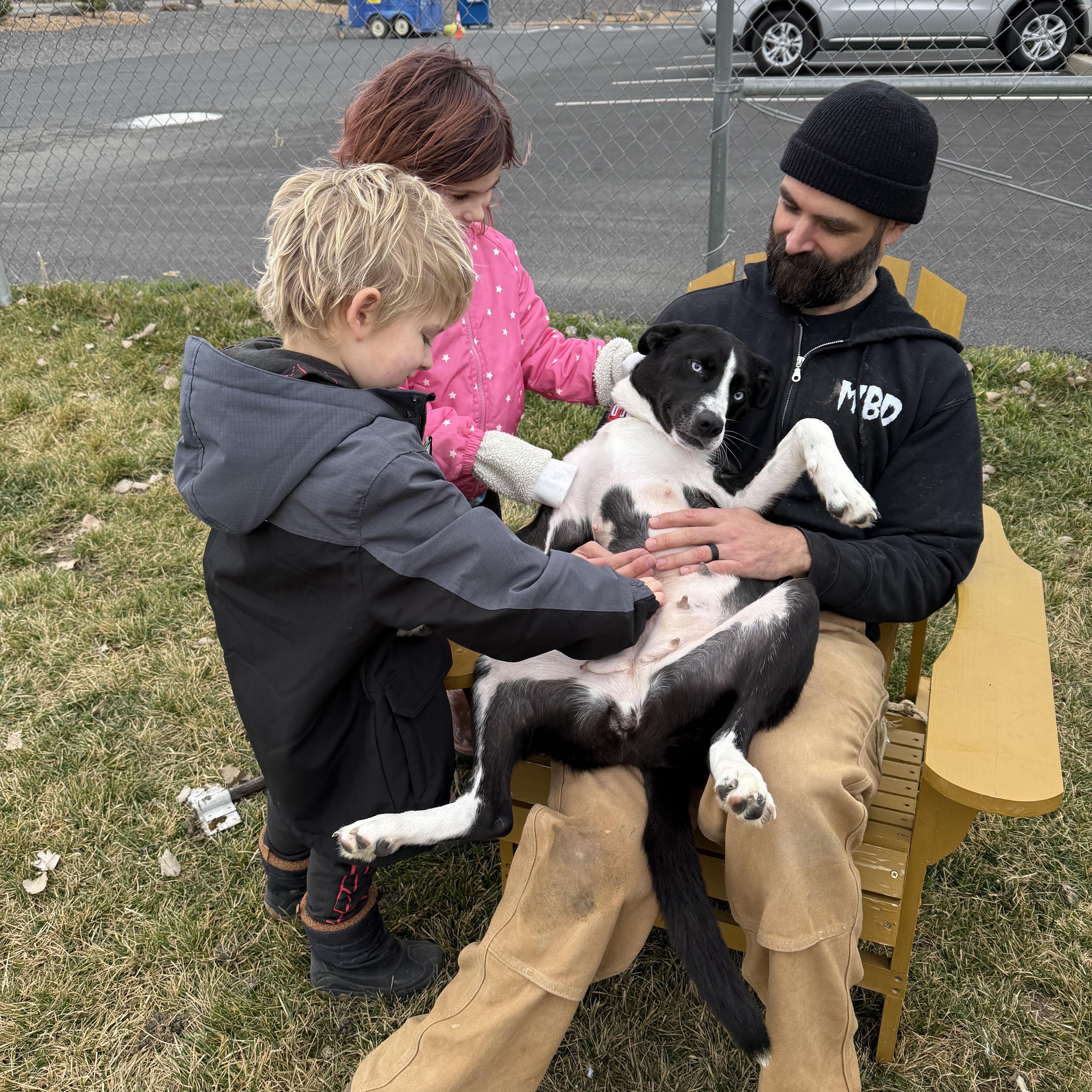 Enlarge Baby, a ADOPTABLE mixed breed in Prineville, OR image 3/5
