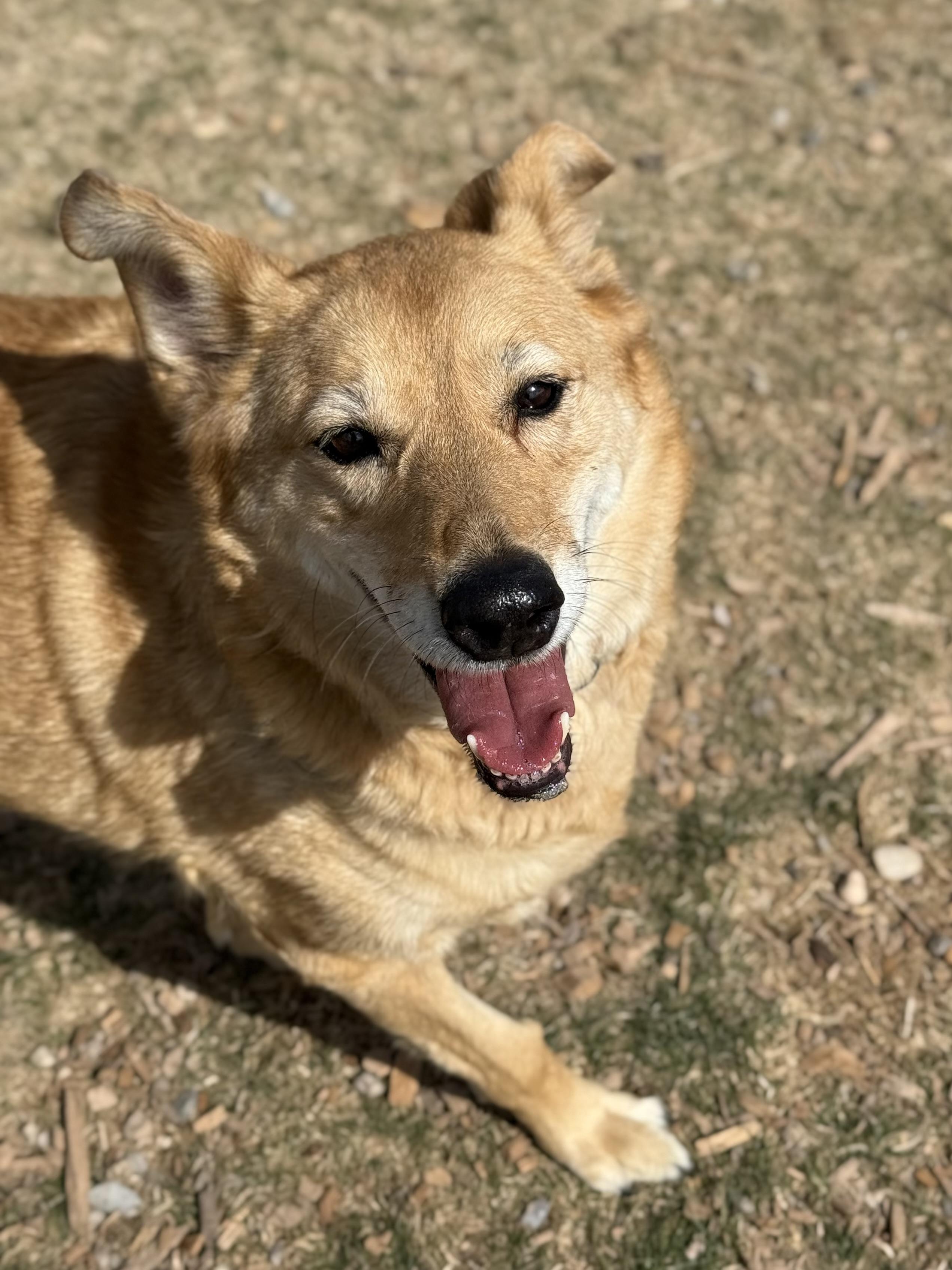 Ellie thumbnail 3