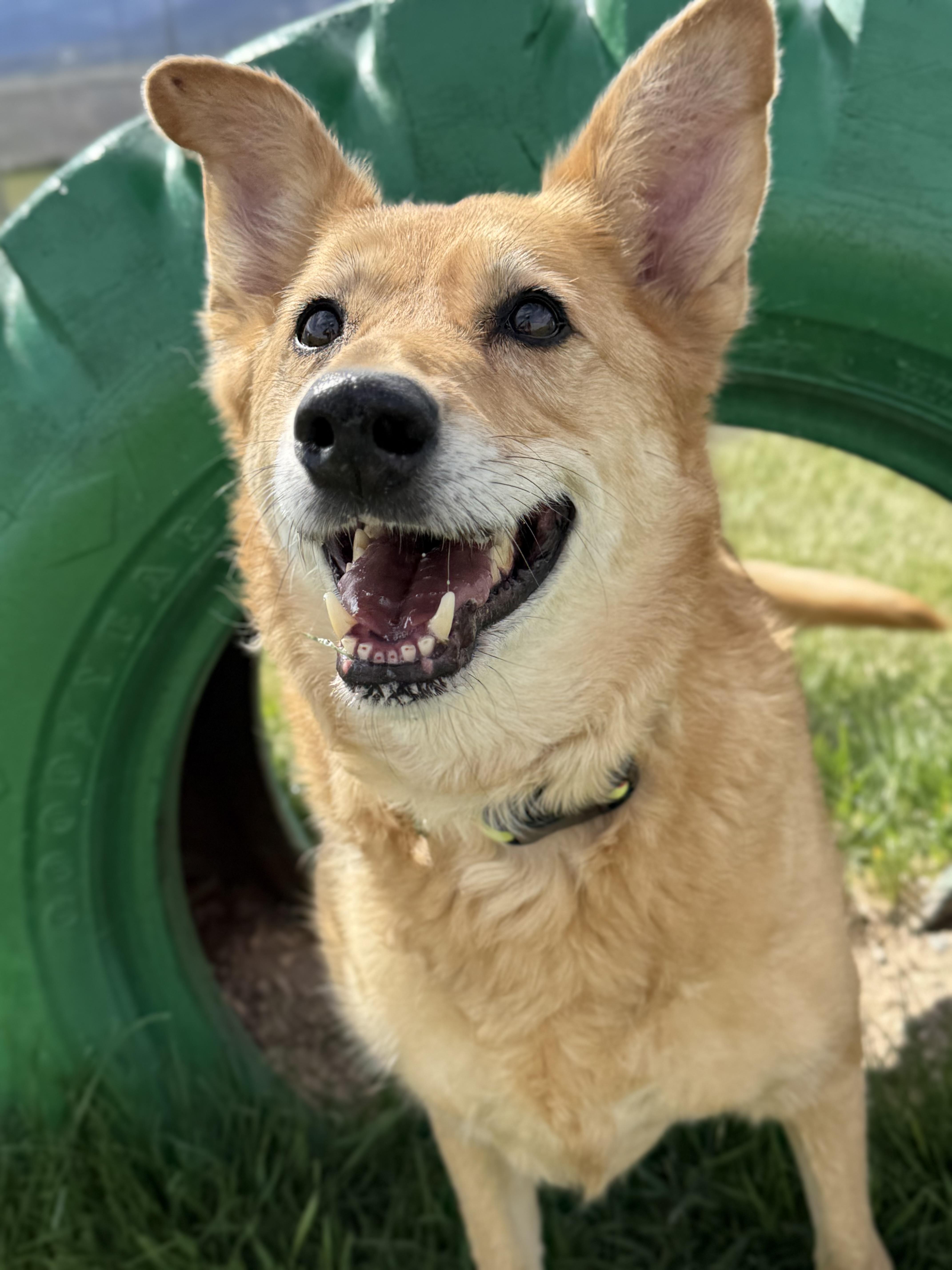 Ellie photo 1