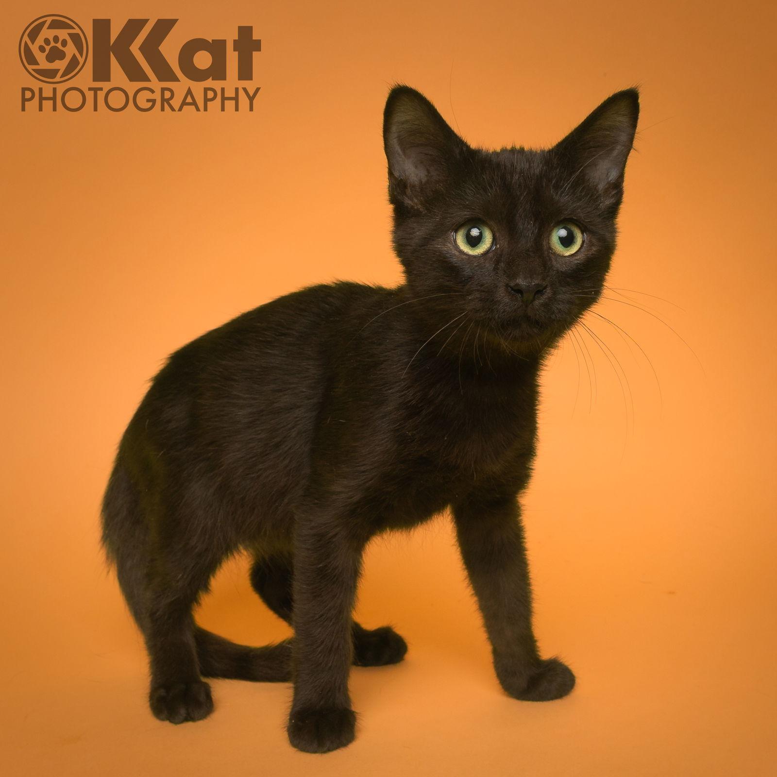 Chalupa — thumbnail 3