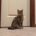 Jolly — thumbnail 2