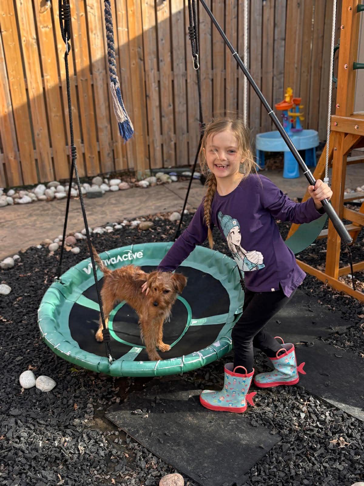 Enlarge RUE, a ADOPTABLE mixed breed in Richmond Hill , ON image 4/5