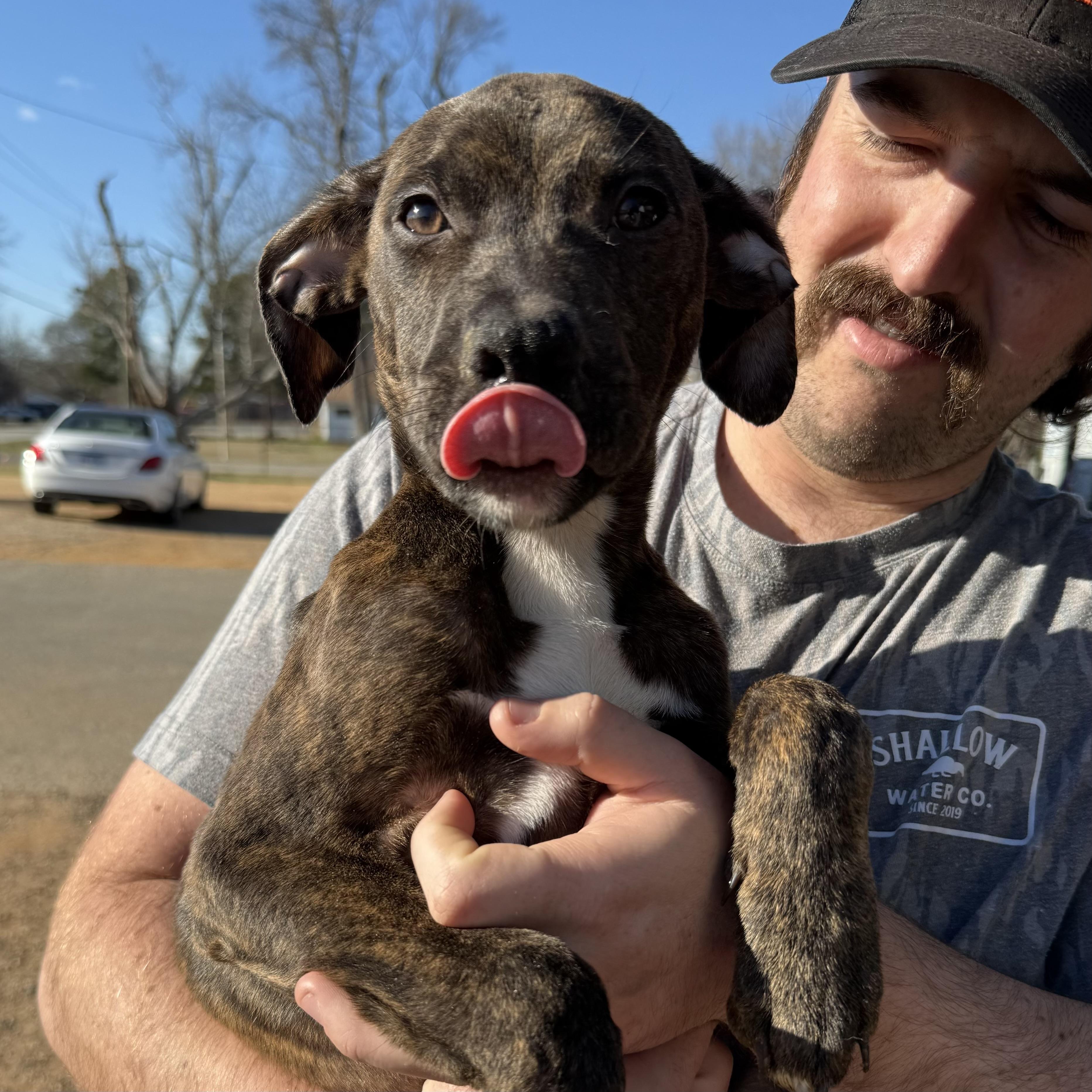 Spandex — thumbnail 2