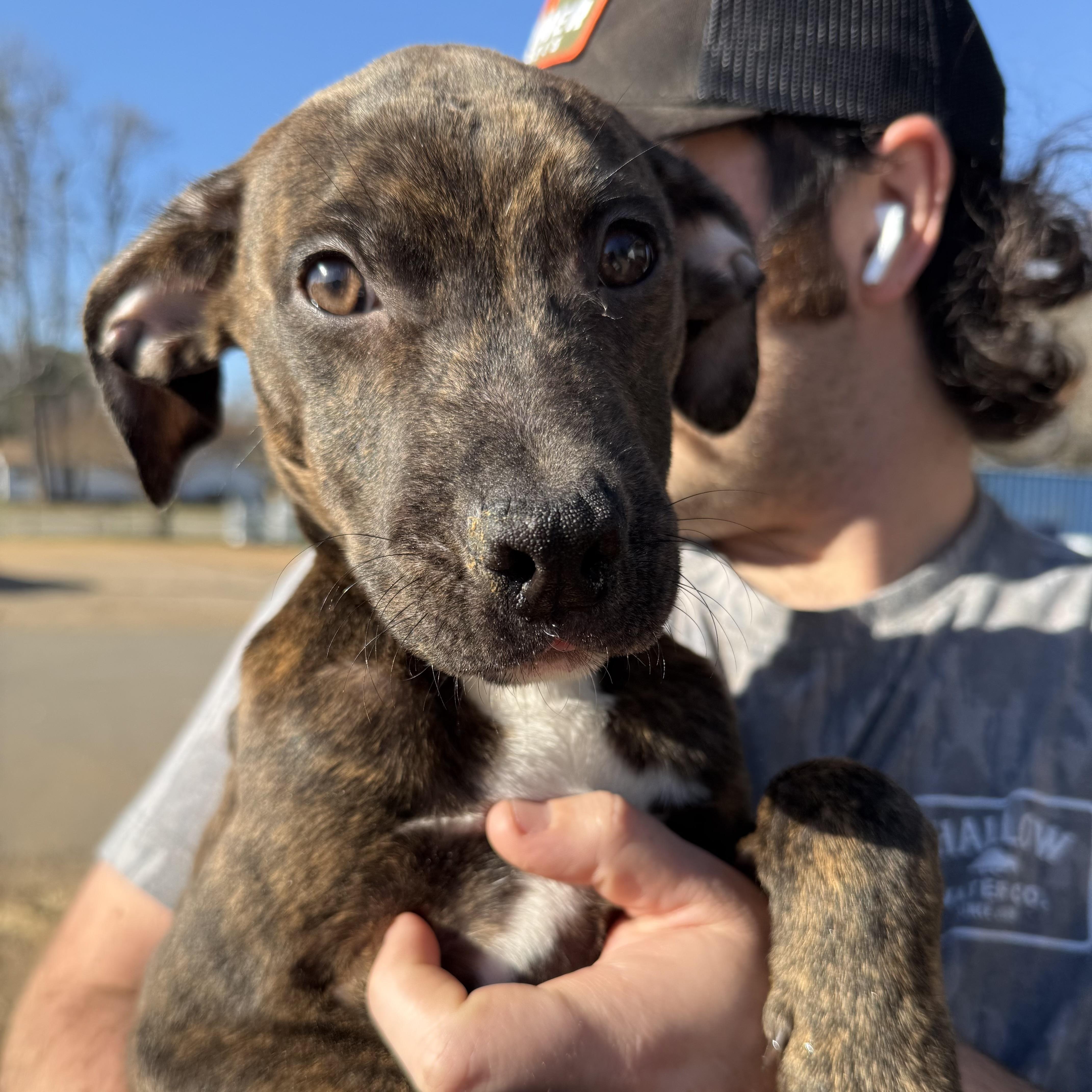 Spandex — thumbnail 4