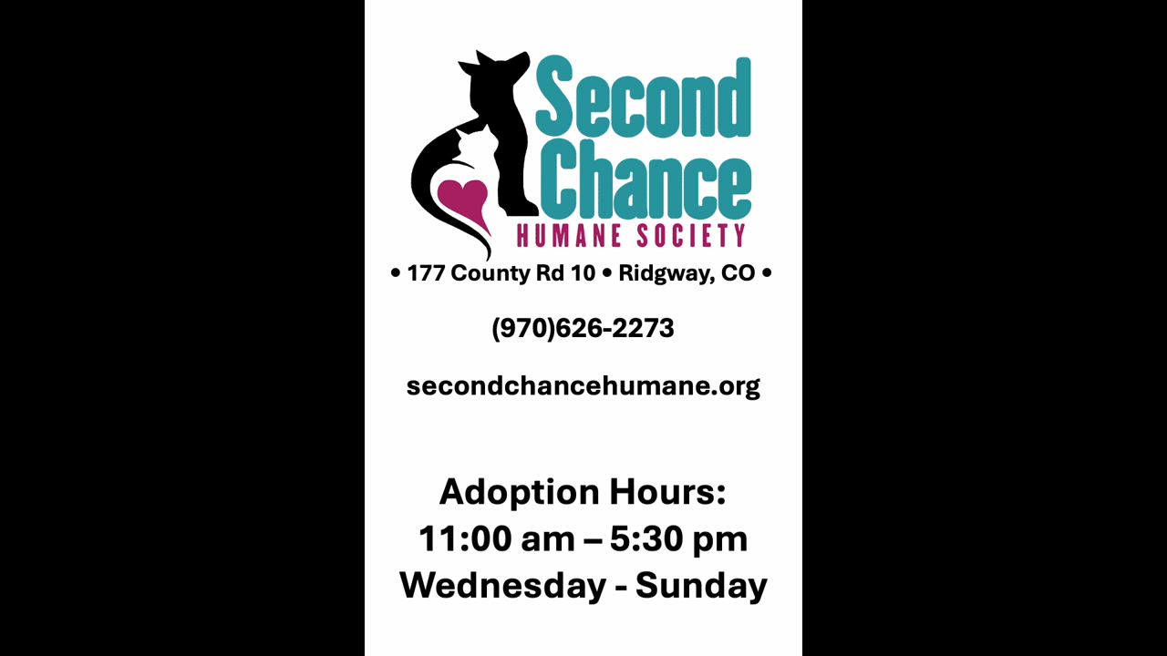 Enlarge Roscoe, a Adoptable mixed breed in Ridgway, CO video 5/6