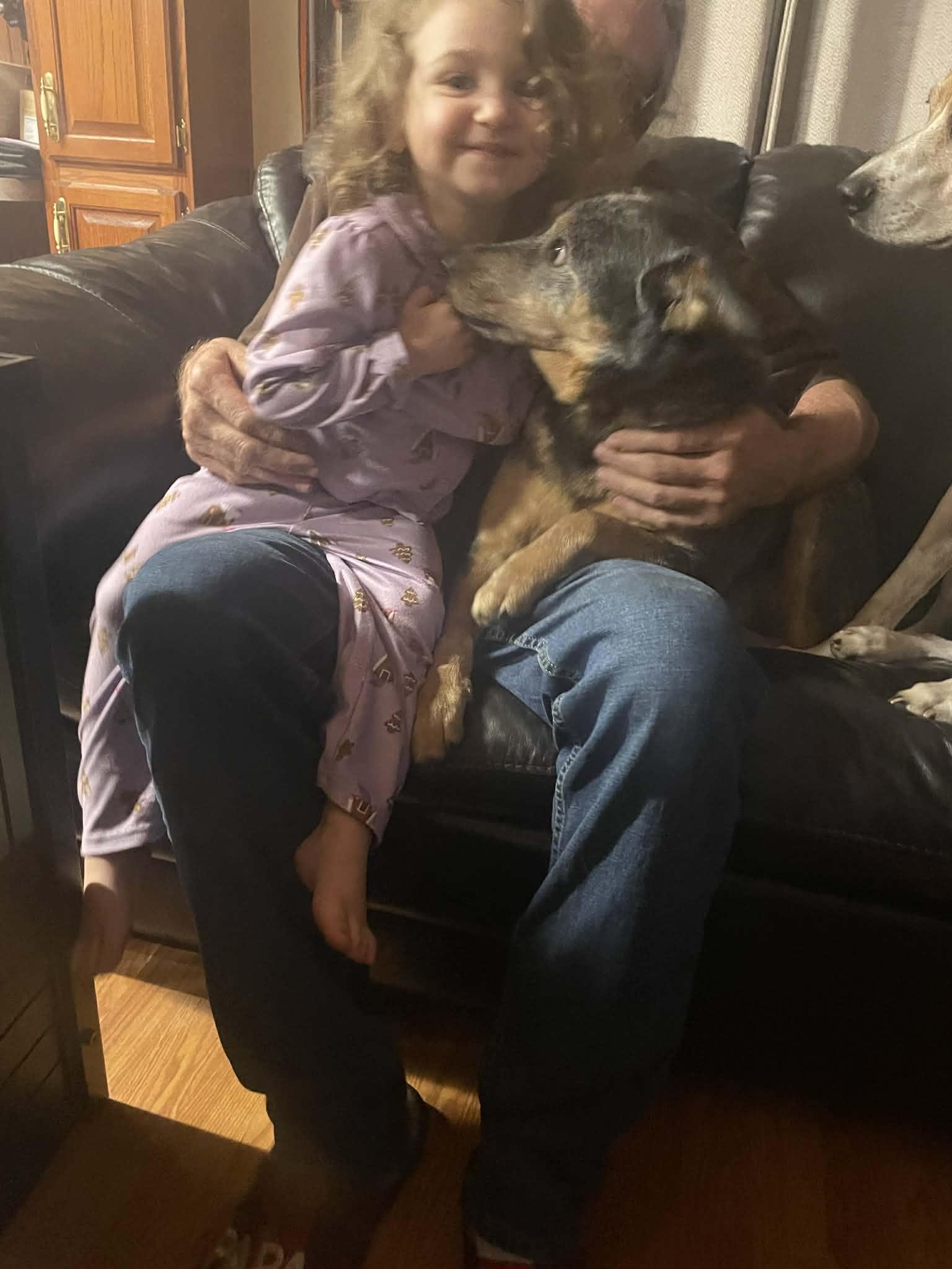 Enlarge Jasper, an adopted Australian Cattle Dog / Blue Heeler in Huntersville, NC image 6/6