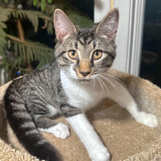 Magnificent Mikey! thumbnail 4