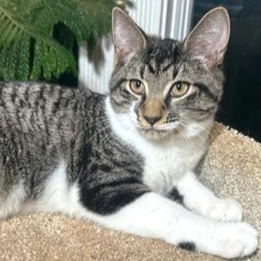 Magnificent Mikey! thumbnail 2