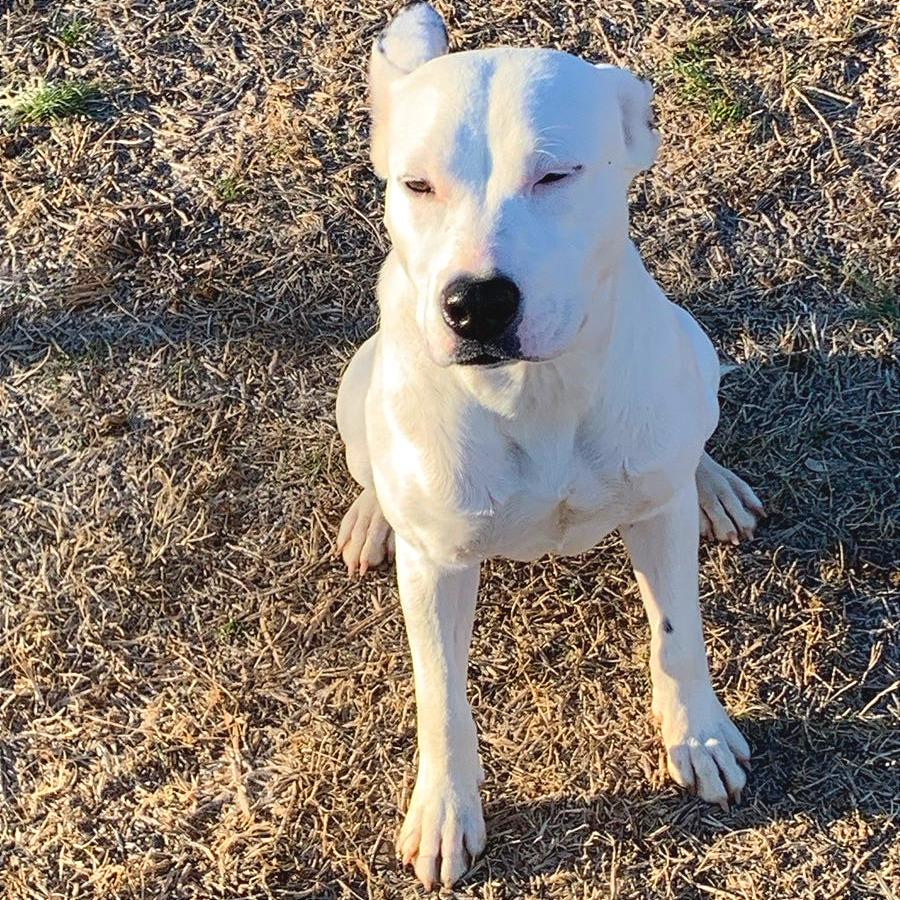 Winnie — thumbnail 2